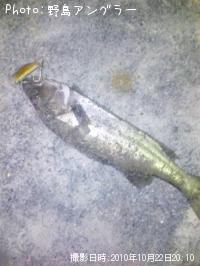 Х