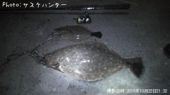 ヒラメ