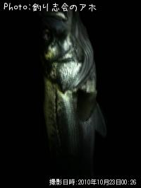 Х