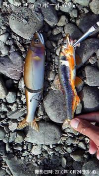 狼ʰ