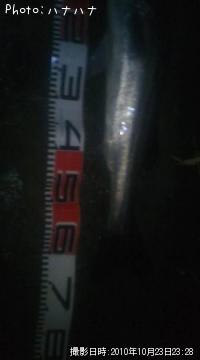 Х