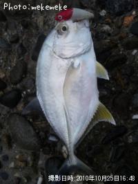 å