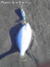 ҥ