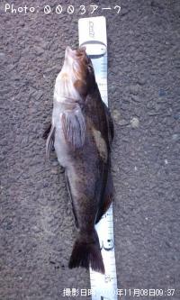 ʥ