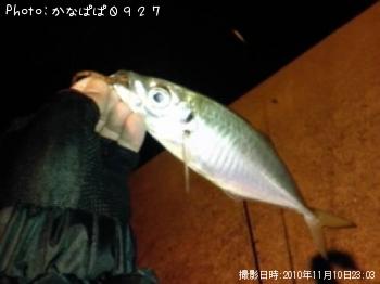 アジ