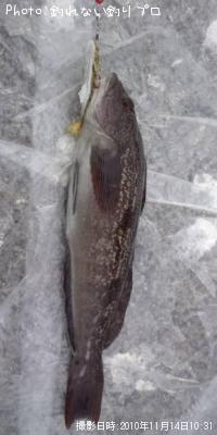 ʥ