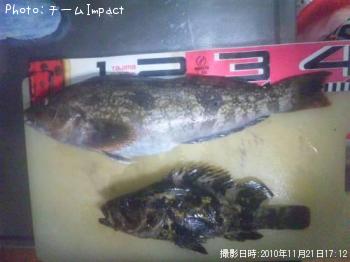 アイナメ