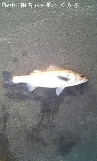Х