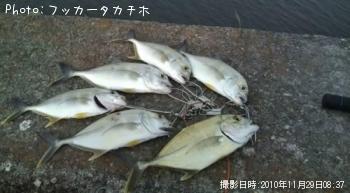 メッキ