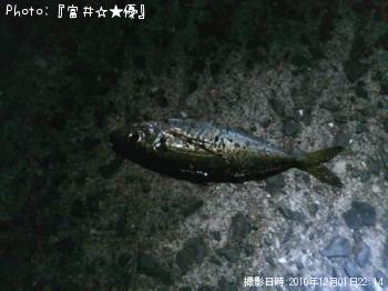アジ