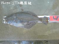 ヒラメ