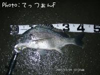 キビレ
