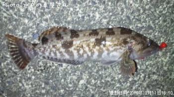 ʥ