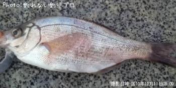 ߥʥ