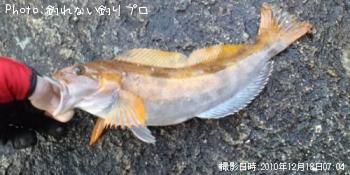 ʥ