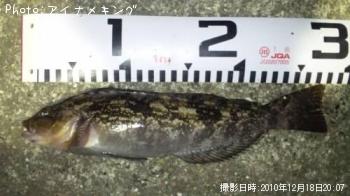 ʥ