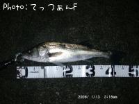 ꥯ