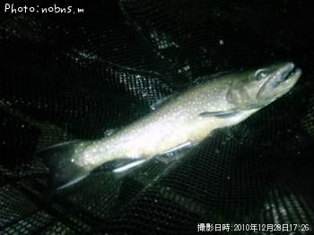 ֥åȥ饦