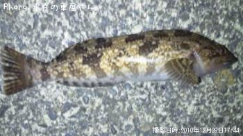 ʥ