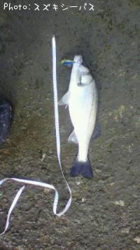 Х
