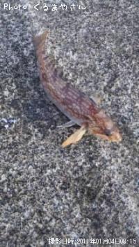 ʥ