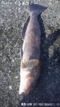 ʥ