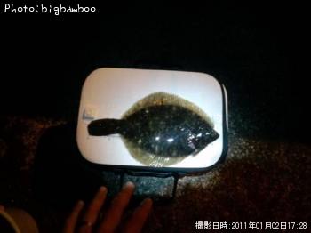カレイ