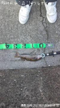 ʥ