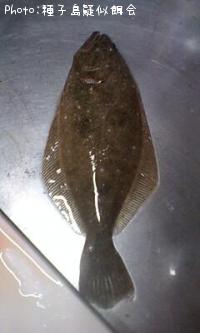 ҥ
