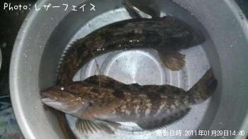 ʥ