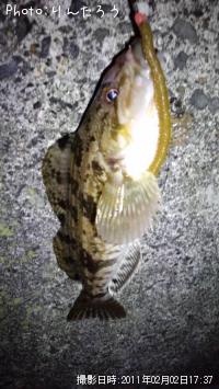 ʥ