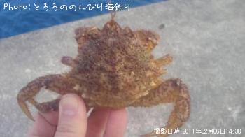ȥꥬ