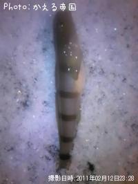奦