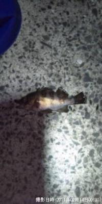 Х