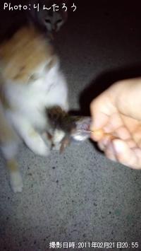 Х