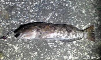ʥ