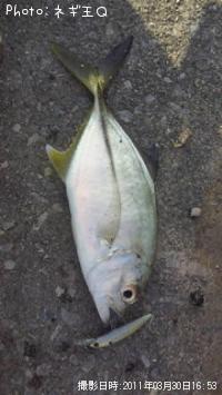 å