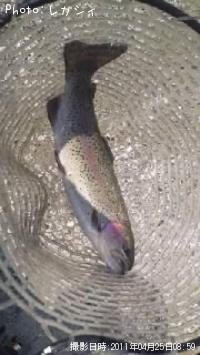 쥤ܡȥ饦