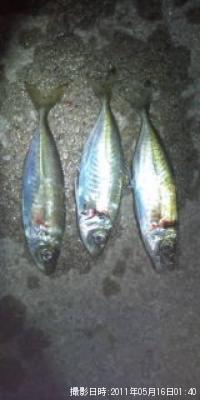 アジ