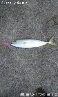 ʥ