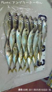 アジ