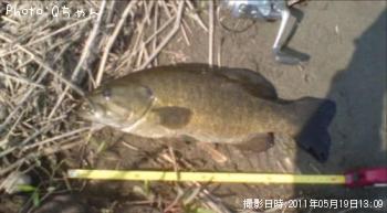 スモールマウスバス