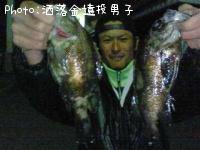 メバル