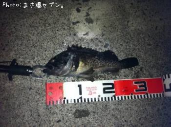 クロソイ