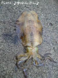 ±