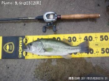 �֥�å��Х�