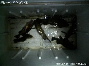 メバル