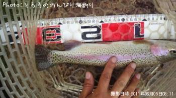 ニジマス