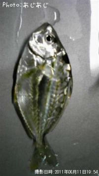 ゼンメ