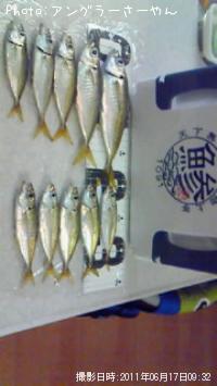 アジ